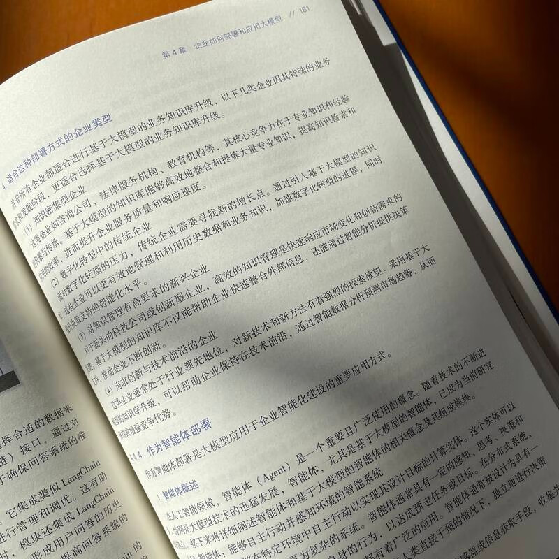 AI赋能：大模型概念、技术及企业级项目应用 deepseek教程详情图
