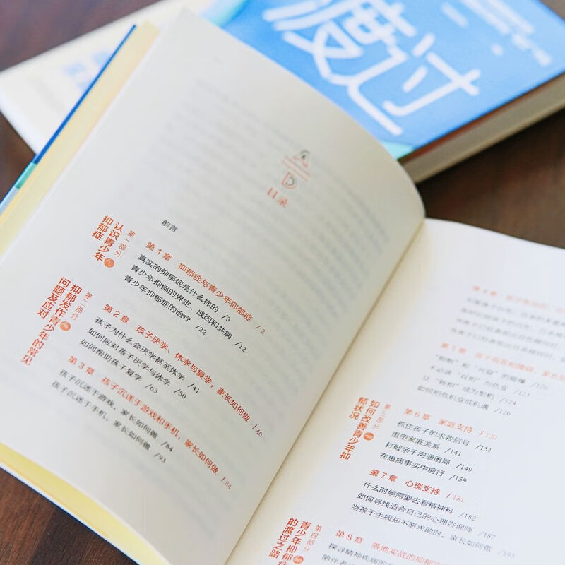 渡过：青少年抑郁康复家庭指南