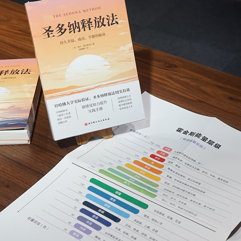 成功 平静的秘诀 海尔德沃斯金 吸引力法则的底层逻辑 情绪觉知力提升指南 大道至简的宇宙法则 简单实用高效的疗愈工具 动态觉察手册  