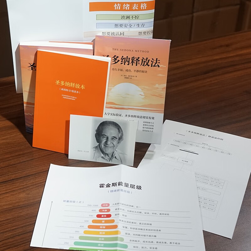 成功 平静的秘诀 海尔德沃斯金 吸引力法则的底层逻辑 情绪觉知力提升指南 大道至简的宇宙法则 简单实用高效的疗愈工具 动态觉察手册  