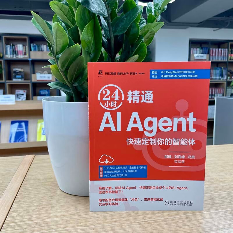 24小时精通 AI Agent：快速定制你的智能体 DeepSeek教程详情图