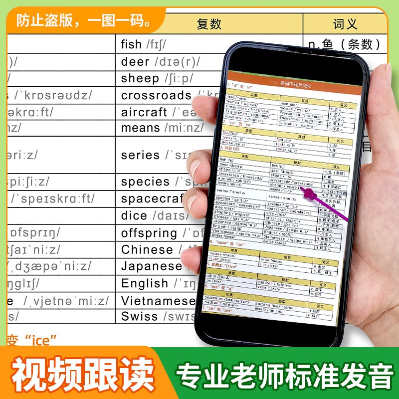 【易蓓】（2张）初中英语语法思维导图速记+不规则变化挂图 英语语法基础知识汇总大全学习挂图