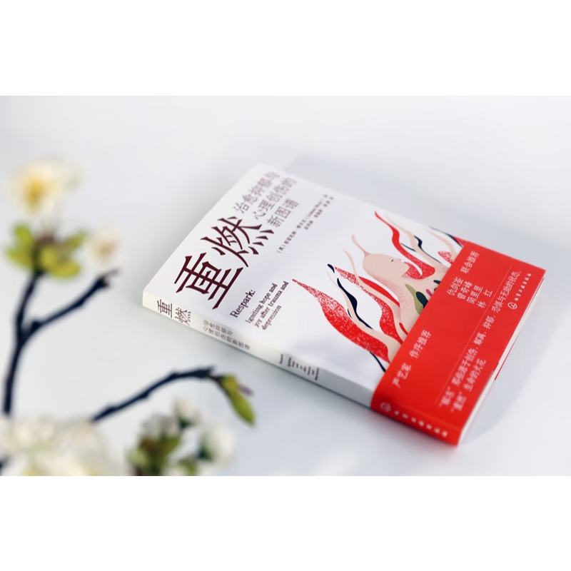 重燃 治愈抑郁与心理创伤的新图谱 创伤和抑郁后点燃希望和喜悦 心灵治愈放松书籍 创伤抑郁解离恐惧无助心理治愈重燃希望疗愈书 重燃：治愈抑郁与心理创伤的新图谱详情图