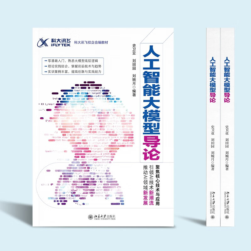人工智能大模型导论 科大讯飞合著详情图