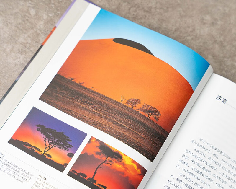 美丽的地球万物有灵（全6册）附赠冰箱贴、明信片、贴纸 中国国家地理 出品 2400余幅摄影作品 28条大河,70余座高山,70处建筑奇迹,58处潜水胜地,50种动物迁徙 [7-14岁]详情图