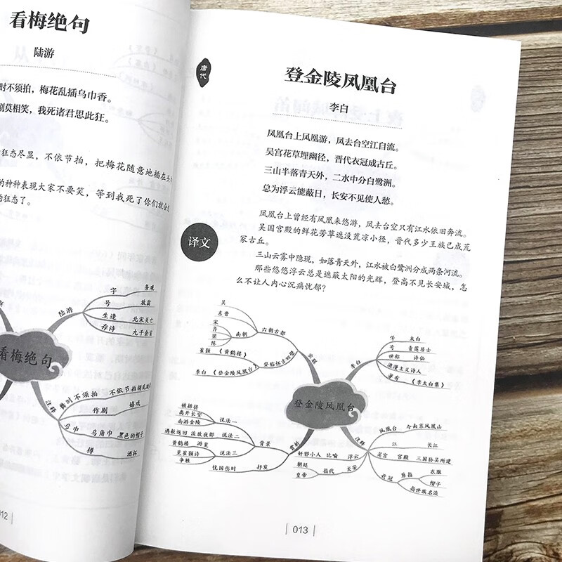 用思维导图学古诗词：365天完整版 小初高全年级适用 每日一诗系统掌握经典诗词 国学启蒙高效学习指南详情图