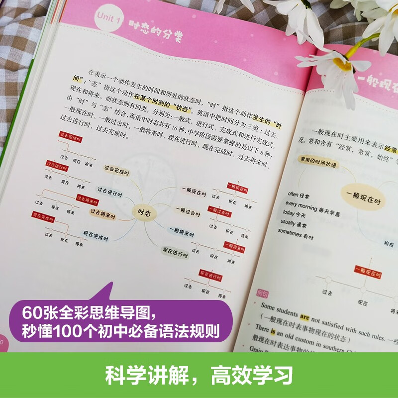 思维导图 全彩图解初中英语语法（赠名师配套视频讲解课）