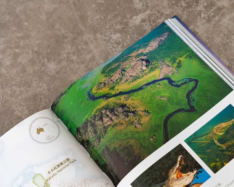 美丽的地球万物有灵（全6册）附赠冰箱贴、明信片、贴纸 中国国家地理 出品 2400余幅摄影作品 28条大河,70余座高山,70处建筑奇迹,58处潜水胜地,50种动物迁徙 [7-14岁]详情图