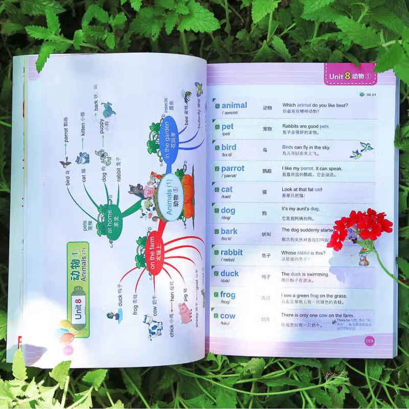 思维导图全彩少儿版小学生英语单词预发零基础图解快速记背单词 【全2册】 英语语法+英语单词