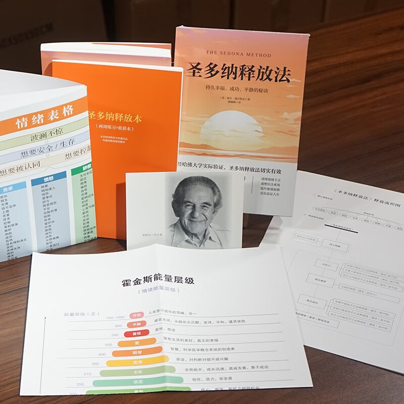 成功 平静的秘诀 海尔德沃斯金 吸引力法则的底层逻辑 情绪觉知力提升指南 大道至简的宇宙法则 简单实用高效的疗愈工具 动态觉察手册  