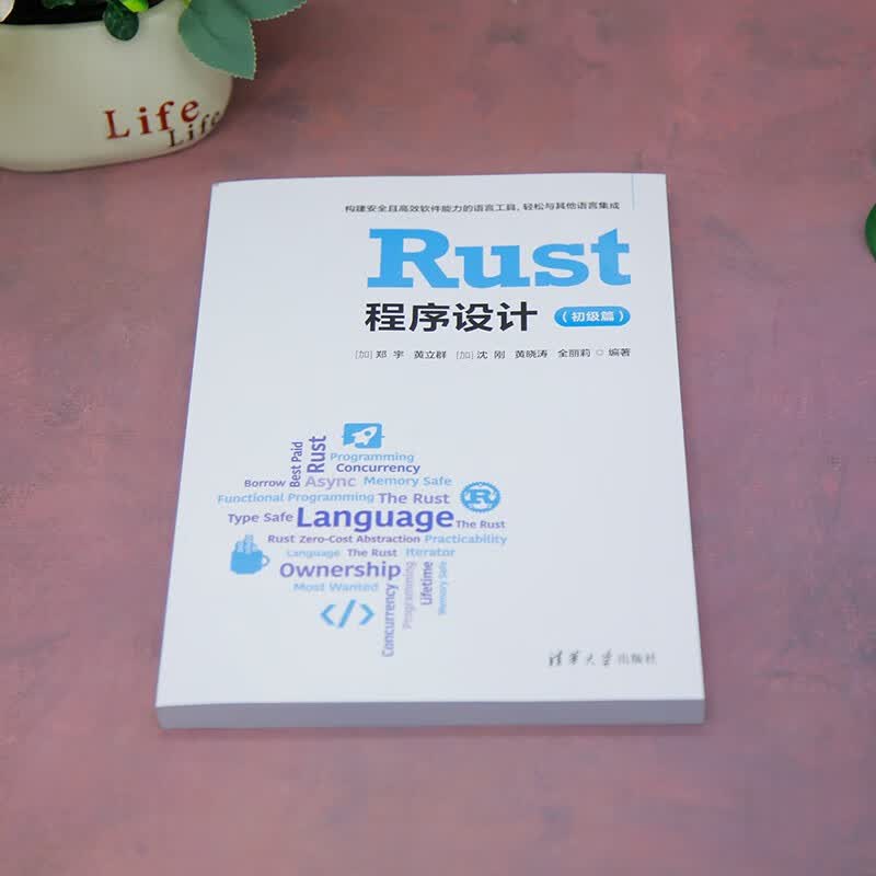 Rust程序设计(初级篇)详情图