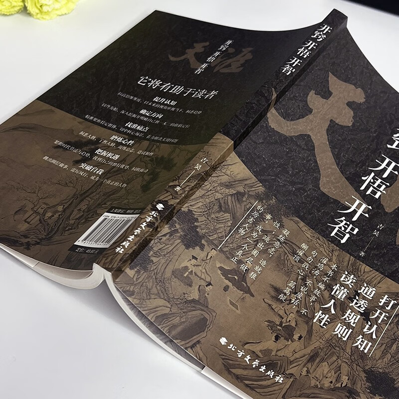 天涯：开窍开悟开智+图解博弈论：天机（定制版全2册）天涯隐学人生智慧处世指南 悟道谋略认知破局之书详情图