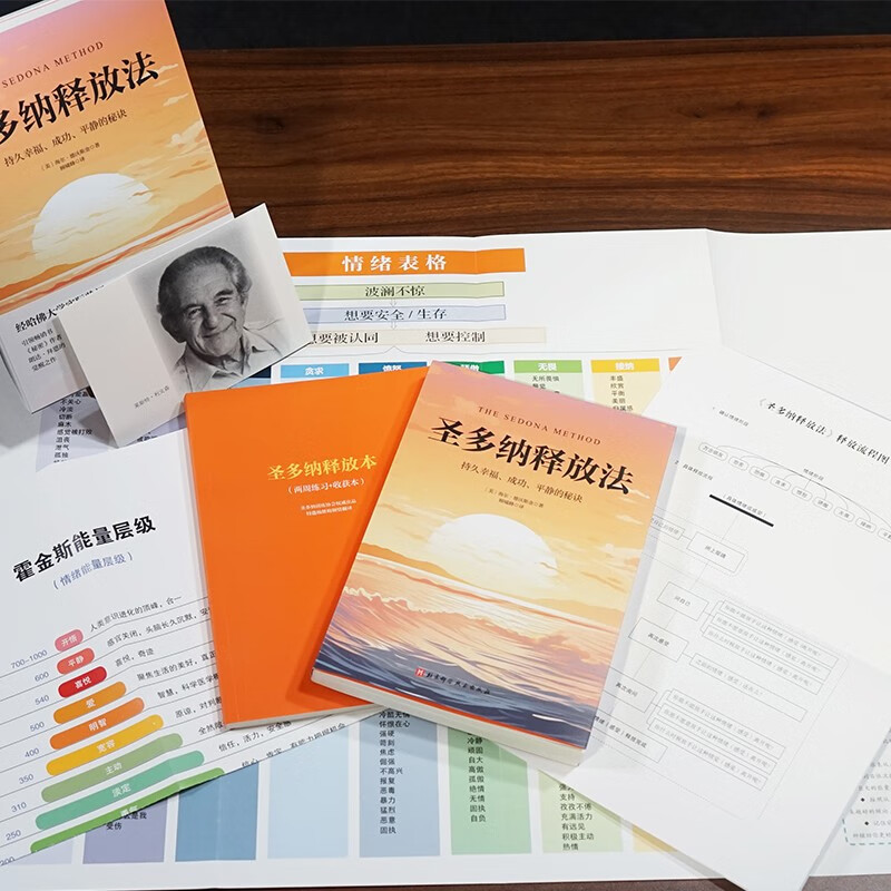 成功 平静的秘诀 海尔德沃斯金 吸引力法则的底层逻辑 情绪觉知力提升指南 大道至简的宇宙法则 简单实用高效的疗愈工具 动态觉察手册  