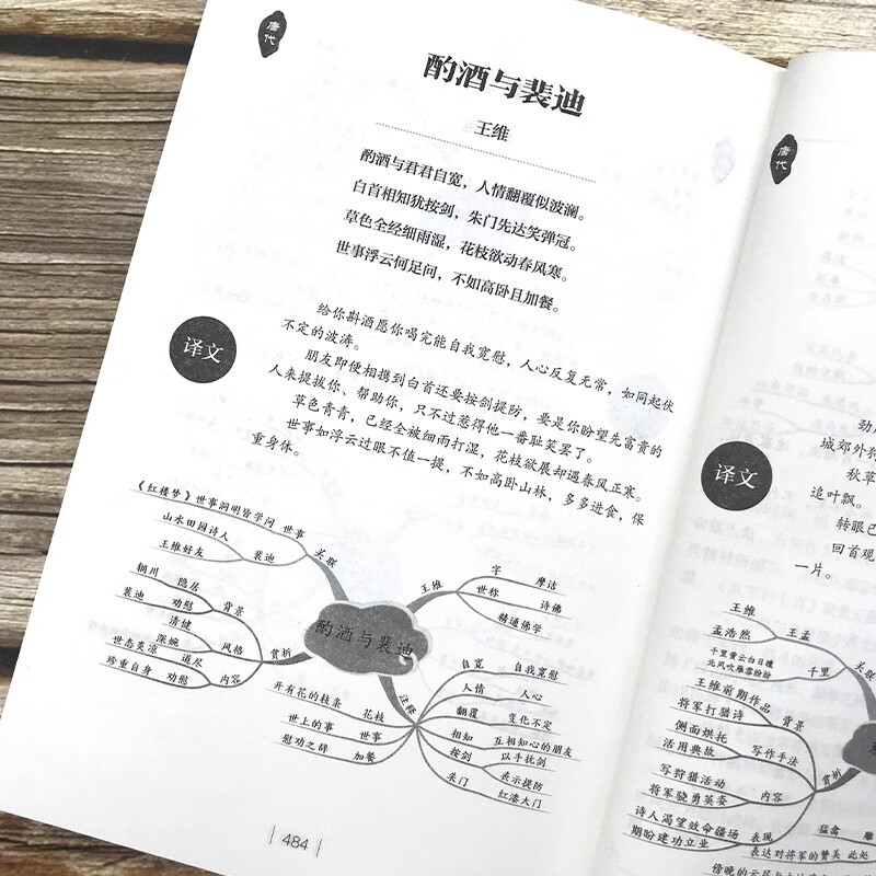 用思维导图学古诗词：365天完整版 小初高全年级适用 每日一诗系统掌握经典诗词 国学启蒙高效学习指南详情图