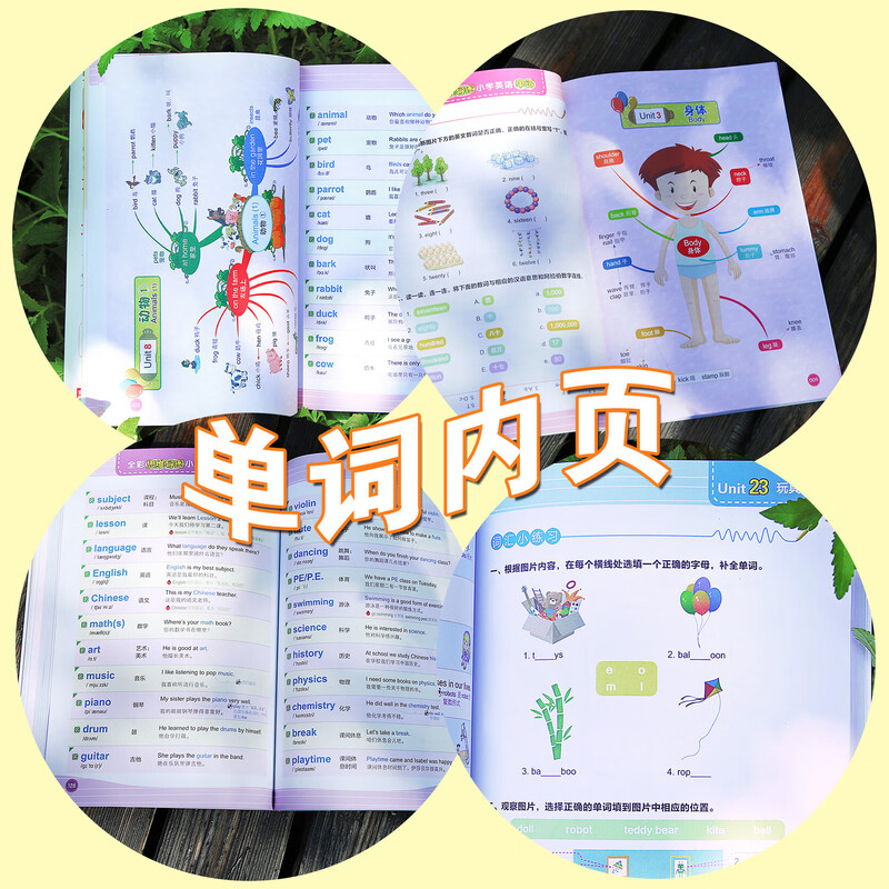 思维导图全彩少儿版小学生英语单词预发零基础图解快速记背单词 思维导图 小学英语单词详情图