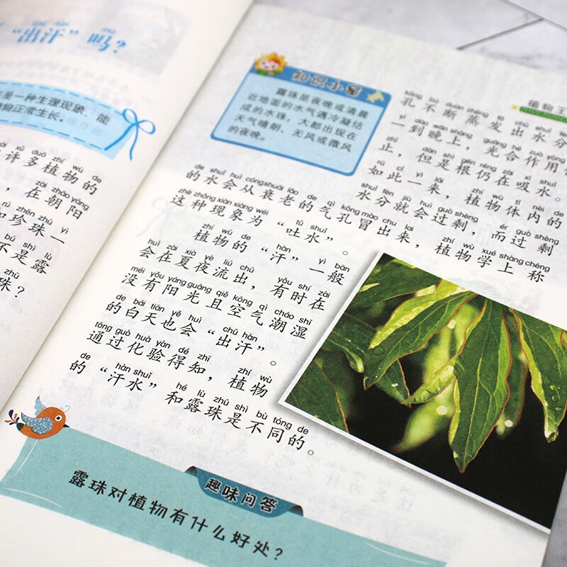 儿童百科全书（精美礼盒16册装）十万个为什么大字注音小学课外阅读少儿科普启蒙读物带拼音儿童趣味阅读满足孩子对世界的好奇心 寒假阅读寒假...详情图