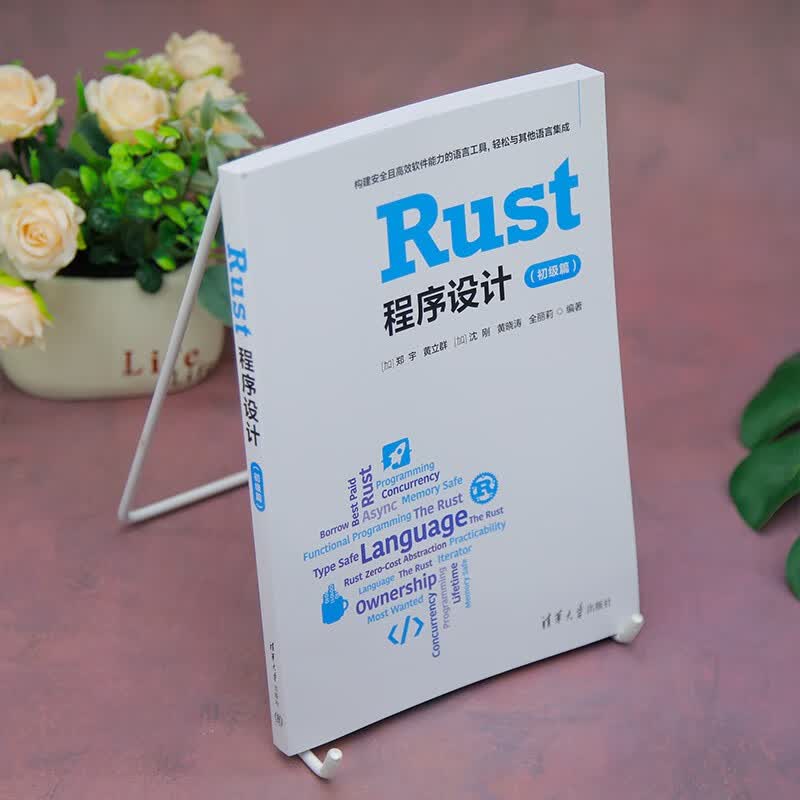 Rust程序设计(初级篇)详情图
