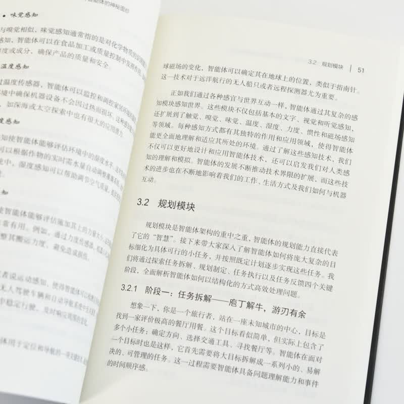 这就是AI智能体——AI Agent入门 agent LLM大模型应用开发GPT deepseek 图灵出品详情图