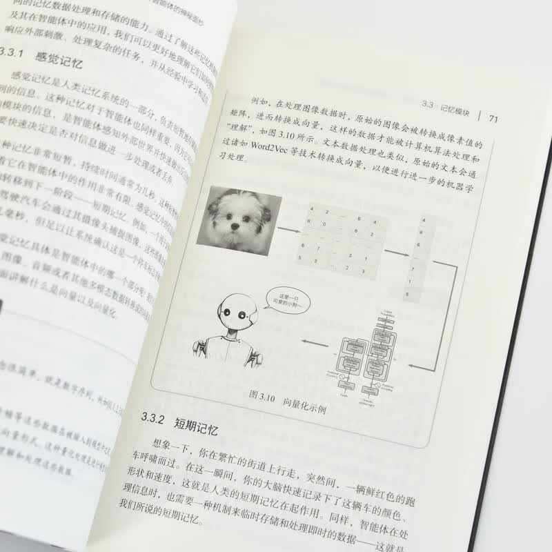 这就是AI智能体——AI Agent入门 agent LLM大模型应用开发GPT deepseek 图灵出品详情图