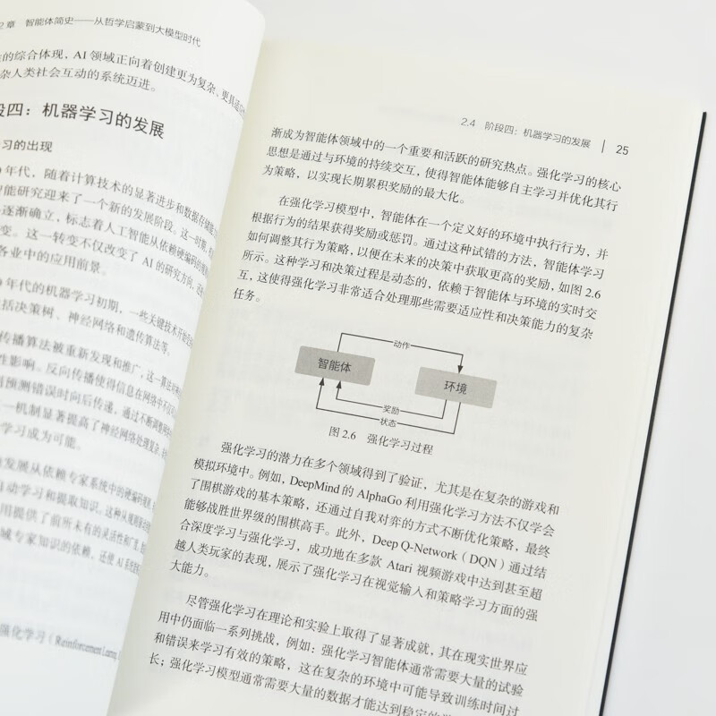 这就是AI智能体——AI Agent入门 agent LLM大模型应用开发GPT deepseek 图灵出品详情图