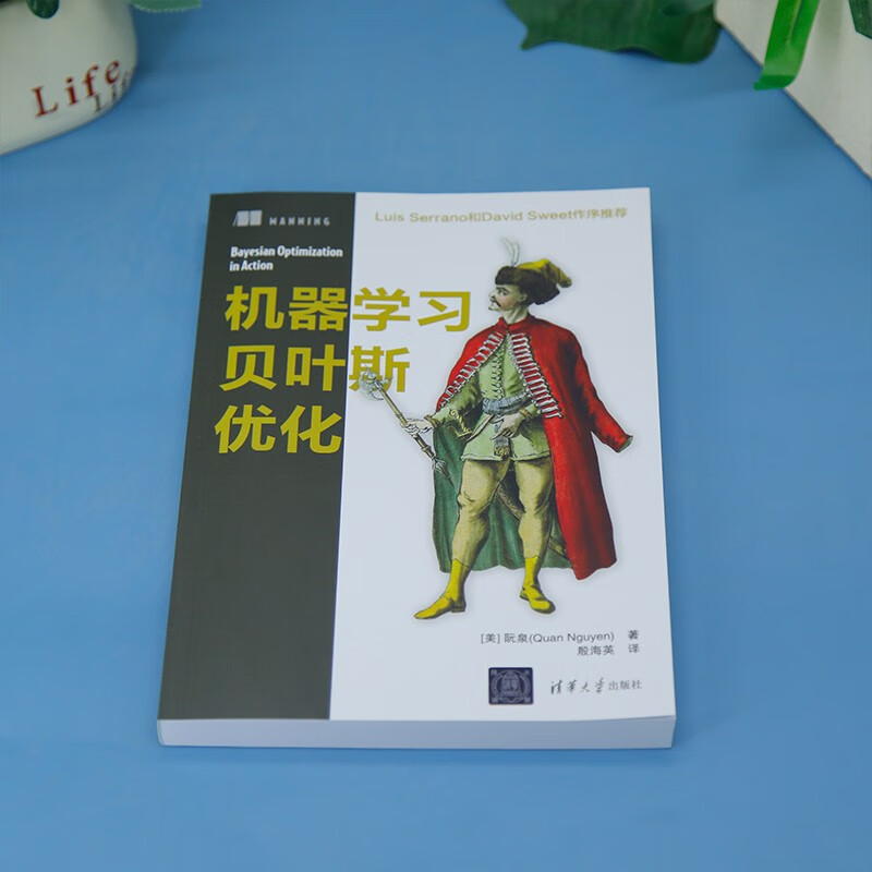 机器学习贝叶斯优化详情图