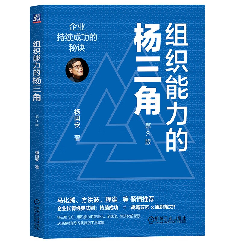 组织能力的杨三角：企业持续成功的秘诀 第3版