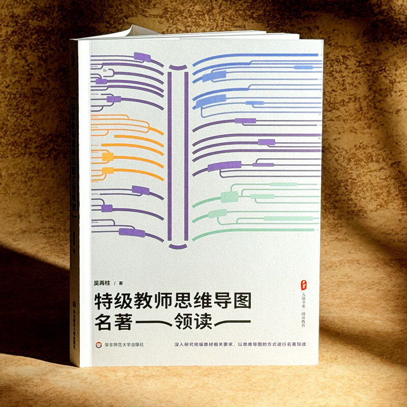 大夏书系·特级教师思维导图名著领读