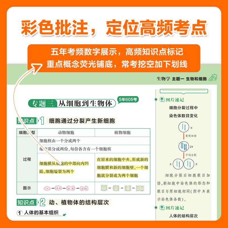 载望2025新口诀速记初中小四门政治历史地理生物人教版预习新初一七八九年级全国通用考点归纳一本通核心考点知识点汇总思维导图视频讲解秒记初中小四门 预习新初一【语数英合订本】+口诀速记小四门 小升初详情图