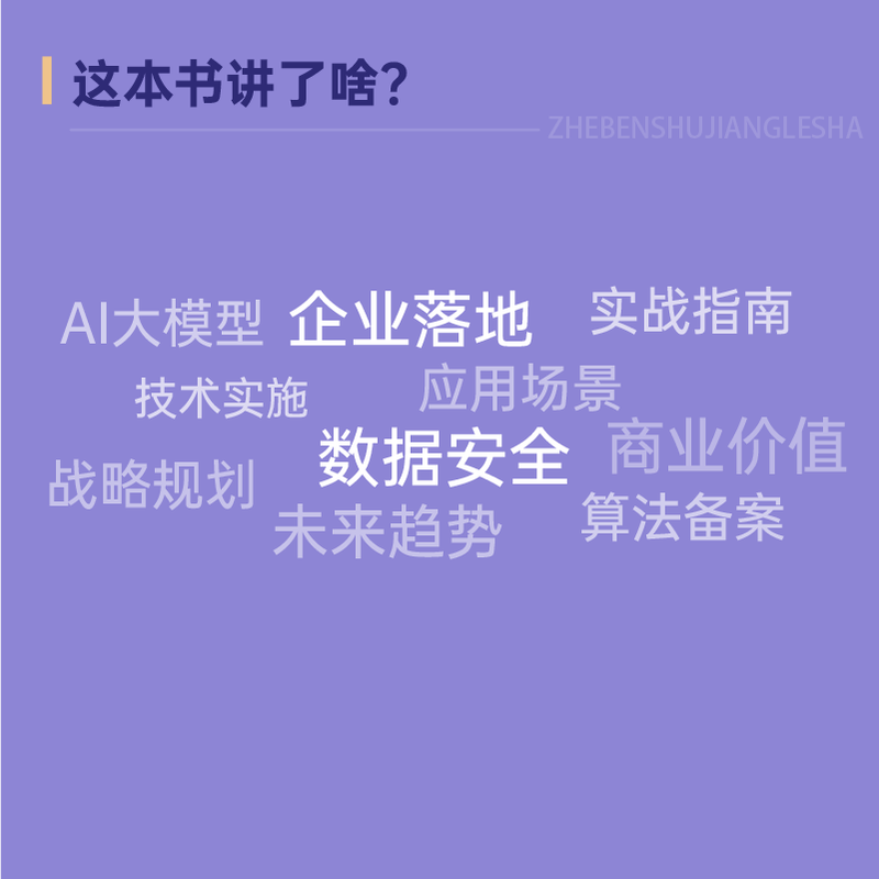 AI大模型企业落地指南 AI大模型应用与开发AGent智能体扣子数据 AI商业进化论详情图