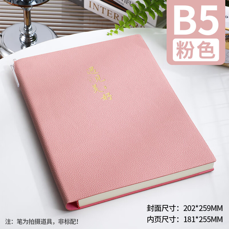 朗捷康奈尔笔记本本子加厚288页加大b5软皮面本5R高效记忆思维导图本子大学生复习考研学习记事本详情图