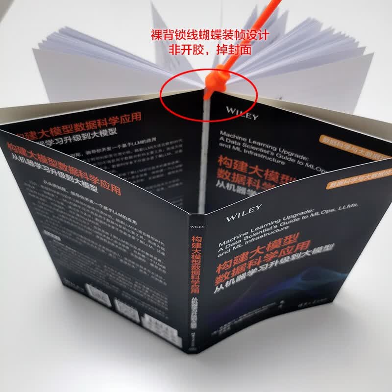 构建大模型数据科学应用：从机器学习升级到大模型（数据科学与大数据技术）详情图