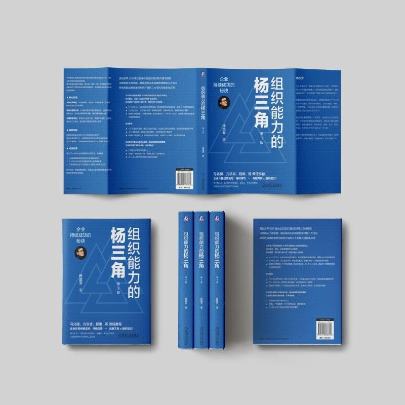 组织能力的杨三角：企业持续成功的秘诀 第3版