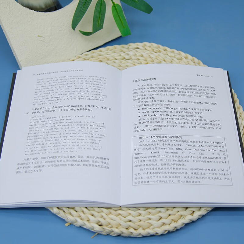 构建大模型数据科学应用：从机器学习升级到大模型（数据科学与大数据技术）详情图