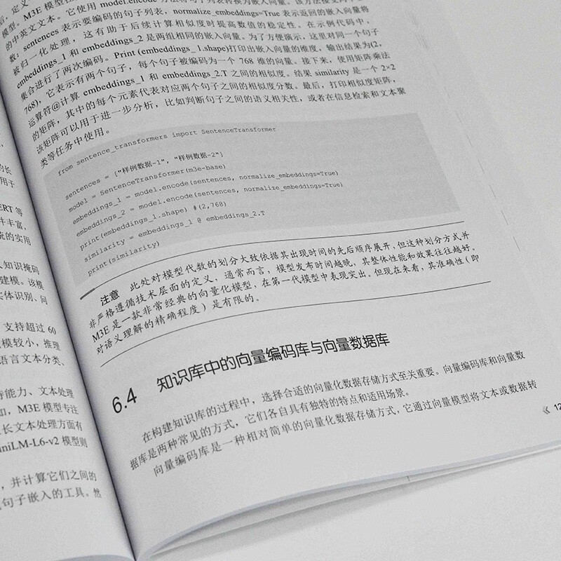Llama应用开发实战 人工智能 自然语言处理 机器学习 深度学习 AI大模型 异步图书出品详情图