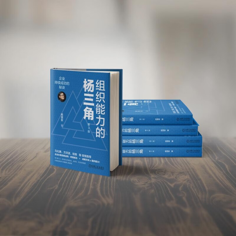 组织能力的杨三角：企业持续成功的秘诀 第3版