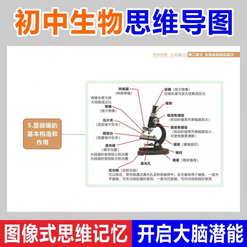 初中地理历史生物数学物理思维导图知识点总结速记人教上下册全套 数学 初中一年级详情图