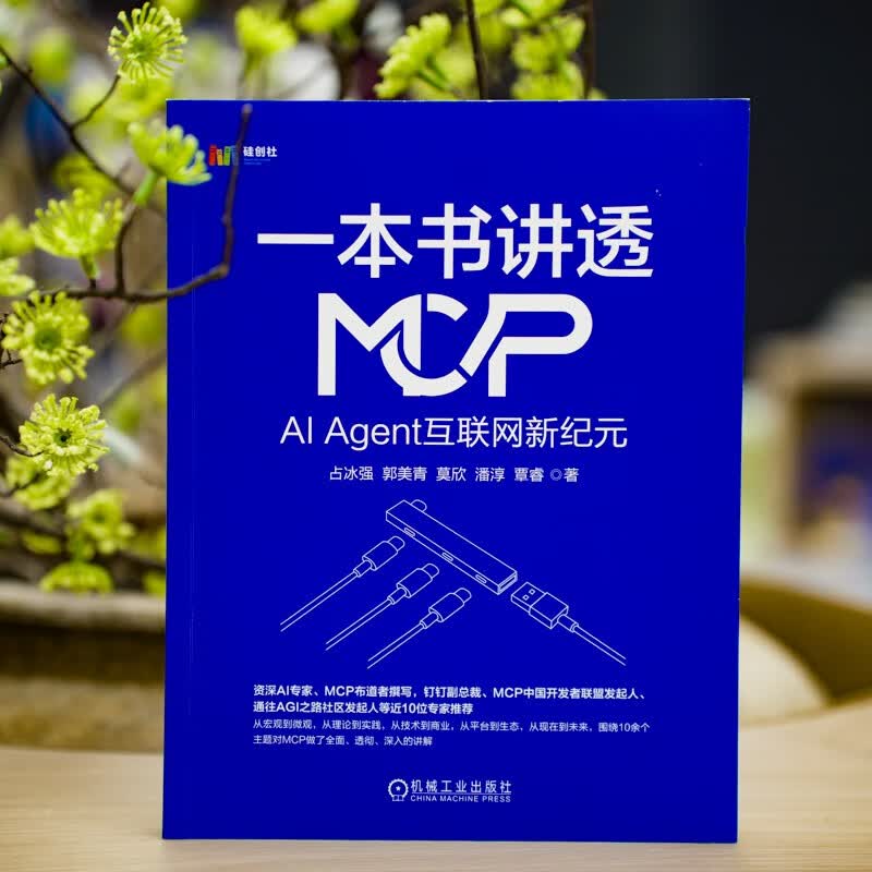 一本书讲透MCP：AI Agent互联网新纪元详情图