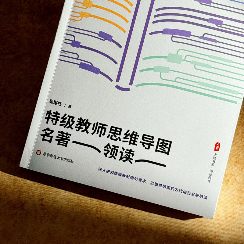 大夏书系·特级教师思维导图名著领读