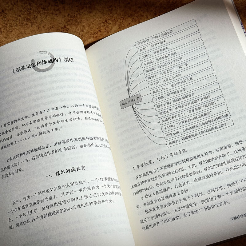 大夏书系·特级教师思维导图名著领读