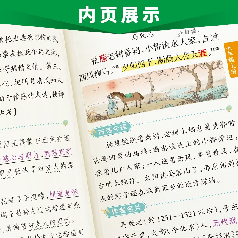 新版图解速记 初中古诗文 人教版 速记小手册一本思维导图课本知识清单 25年26年都适用 pass绿卡图书详情图