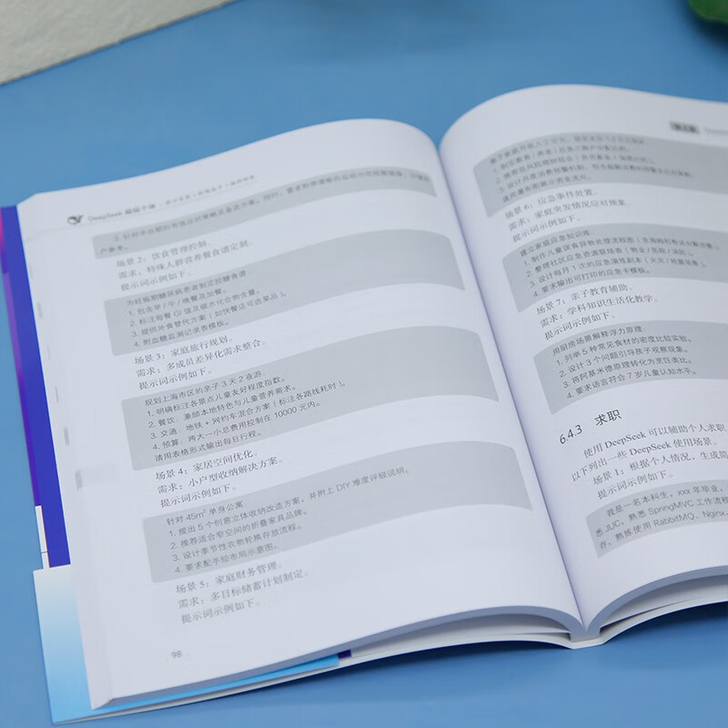 DeepSeek超级个体：提示专家+职场高手+编程极客（人工智能前沿实践丛书）