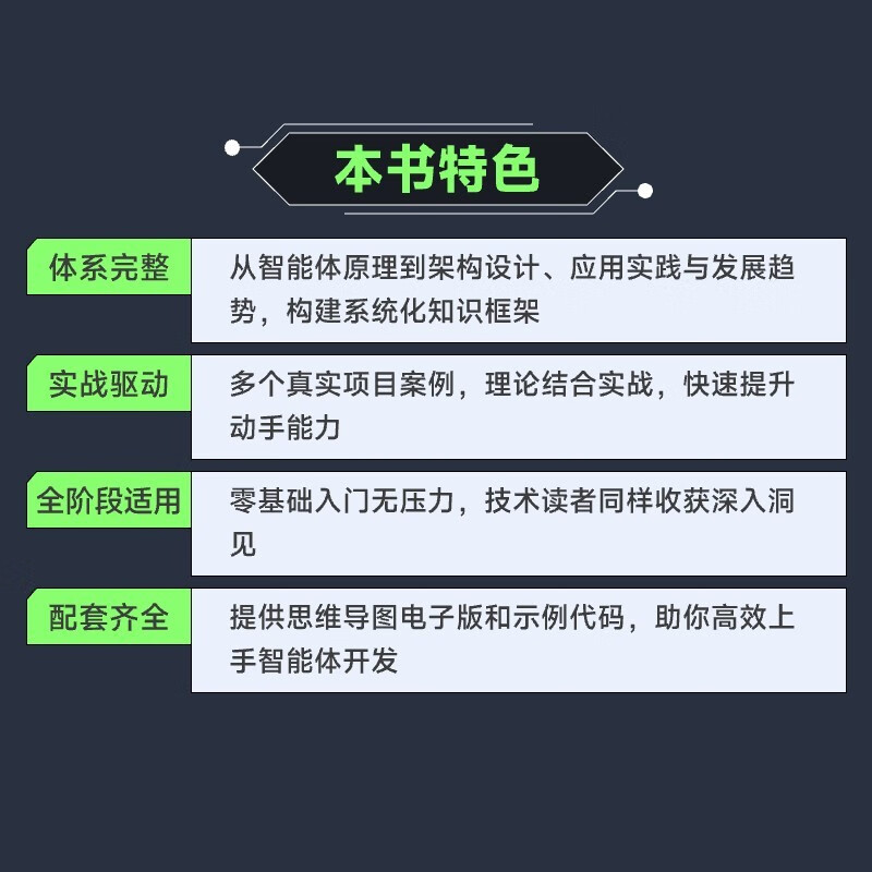 这就是AI智能体——AI Agent入门 agent LLM大模型应用开发GPT deepseek 图灵出品详情图