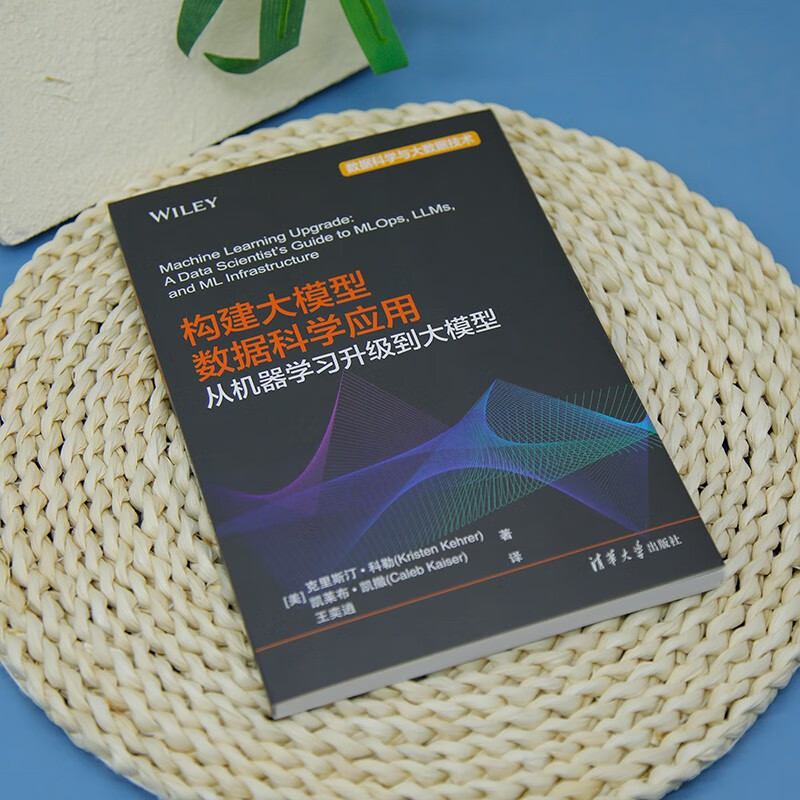 构建大模型数据科学应用：从机器学习升级到大模型（数据科学与大数据技术）详情图