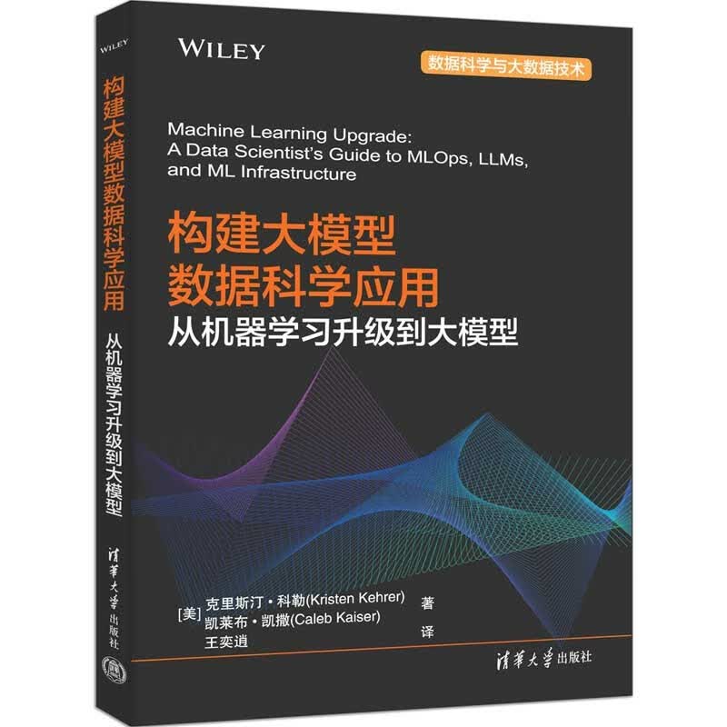 构建大模型数据科学应用：从机器学习升级到大模型（数据科学与大数据技术）详情图