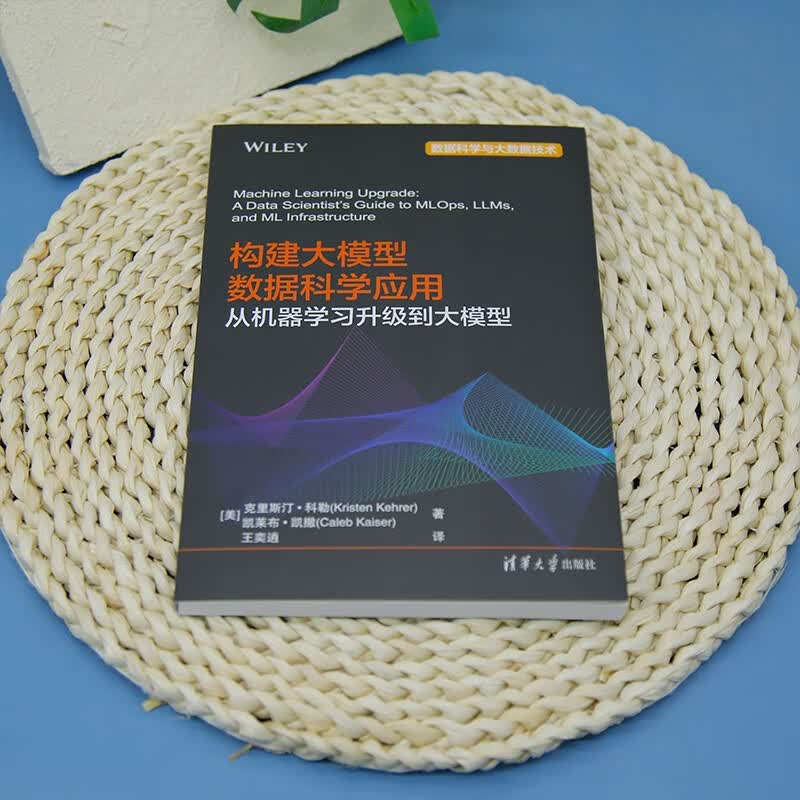构建大模型数据科学应用：从机器学习升级到大模型（数据科学与大数据技术）详情图