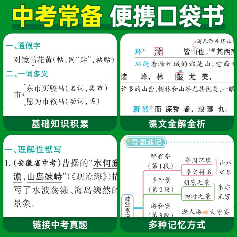 新版图解全析 初中文言文 人教版 速记小手册一本思维导图课本知识清单 25年26年都适用 pass绿卡图书详情图