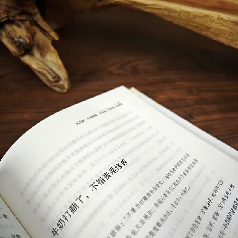 翻篇是一种能力与自己和解 反内耗心理学停止内耗自我救赎 及时 翻篇是一种能力与自己和解2详情图