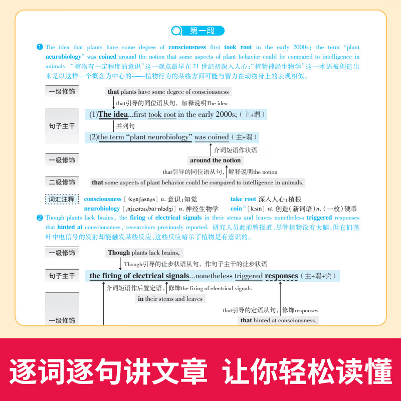 2024新版 考研真相英语一 真题解析篇 四 2019-2023 考研英语历年真题解析 可搭张剑英语肖秀荣徐涛腿姐政治李永乐张宇汤家凤数学 图书