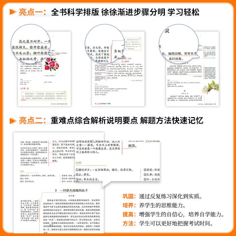 【当天发货】2025秋人民日报伴你阅读一二三四五六年级上下册语文人教版小学生素养教你写好文章阅读理解精选时文美文素材金句摘抄带你读时政陪你 【单本】人民日报伴你阅读 一年级上详情图
