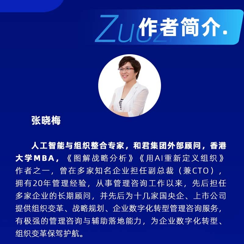 从Deepseek到AI Agent 图解智能体落地指南 行业前景 实战案例 避坑指南 可视化图表 由内而外的AI落地商业化能力拓展详情图